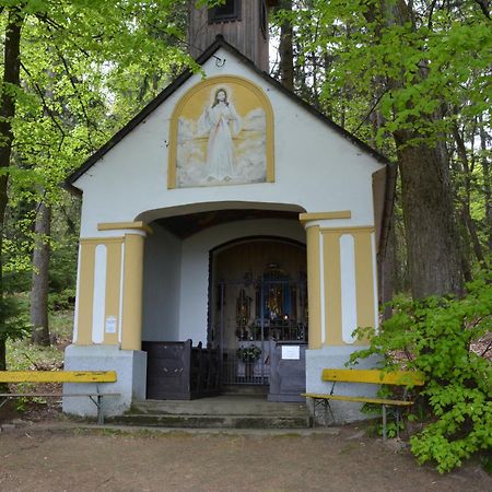 Weingut Seiner Vlg. Kraxner Villa Greisdorf Екстериор снимка