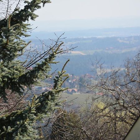 Weingut Seiner Vlg. Kraxner Villa Greisdorf Екстериор снимка