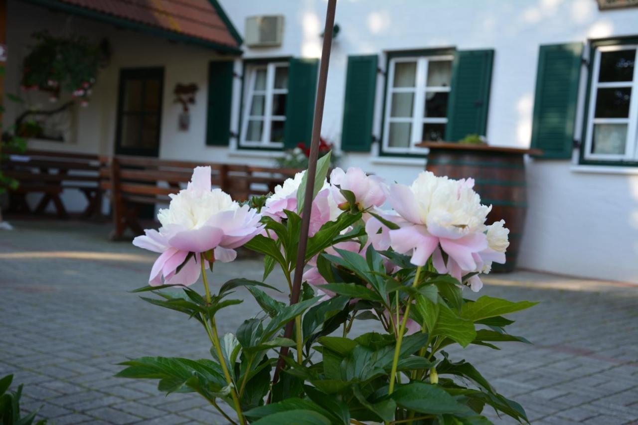 Weingut Seiner Vlg. Kraxner Villa Greisdorf Екстериор снимка