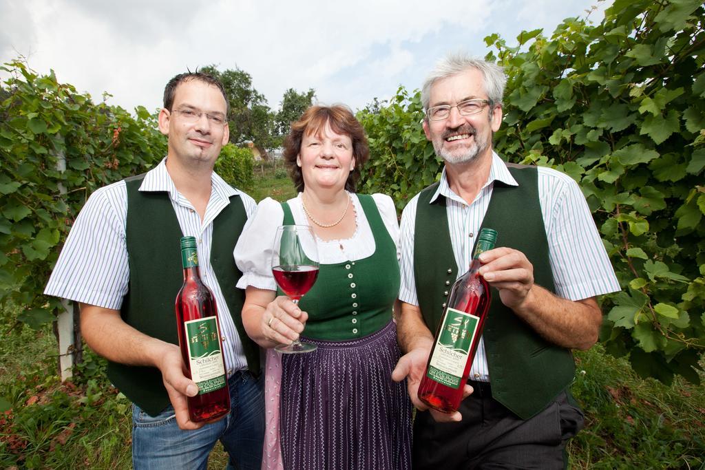 Weingut Seiner Vlg. Kraxner Villa Greisdorf Екстериор снимка