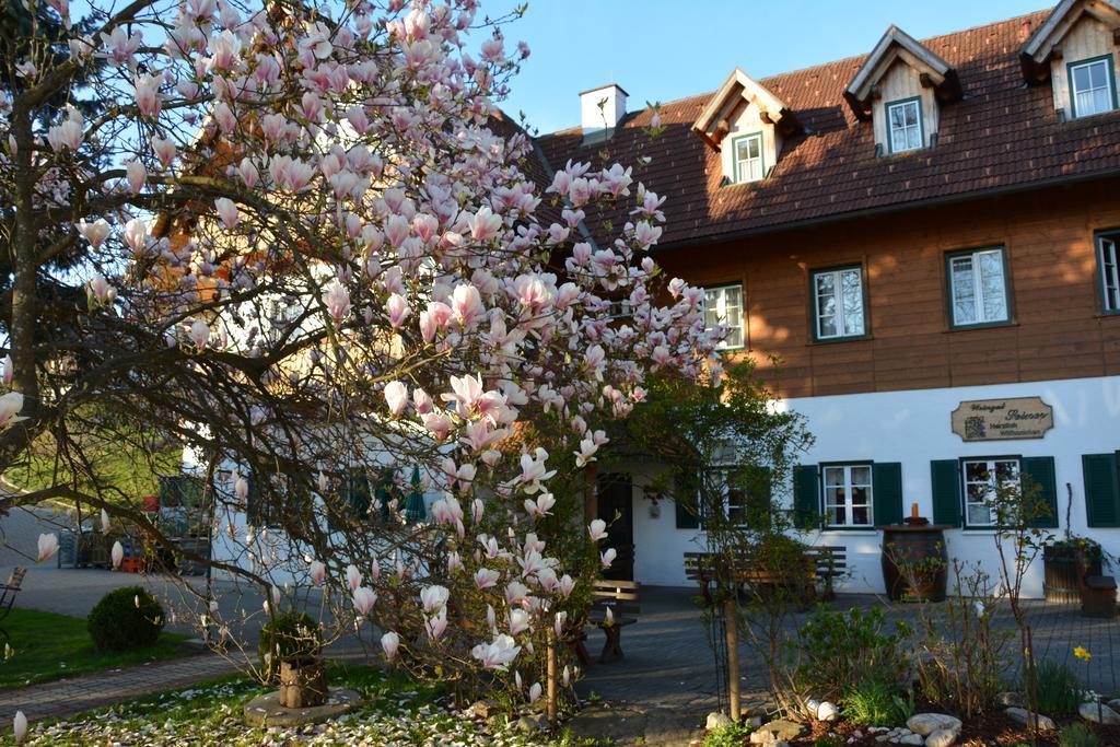 Weingut Seiner Vlg. Kraxner Villa Greisdorf Екстериор снимка