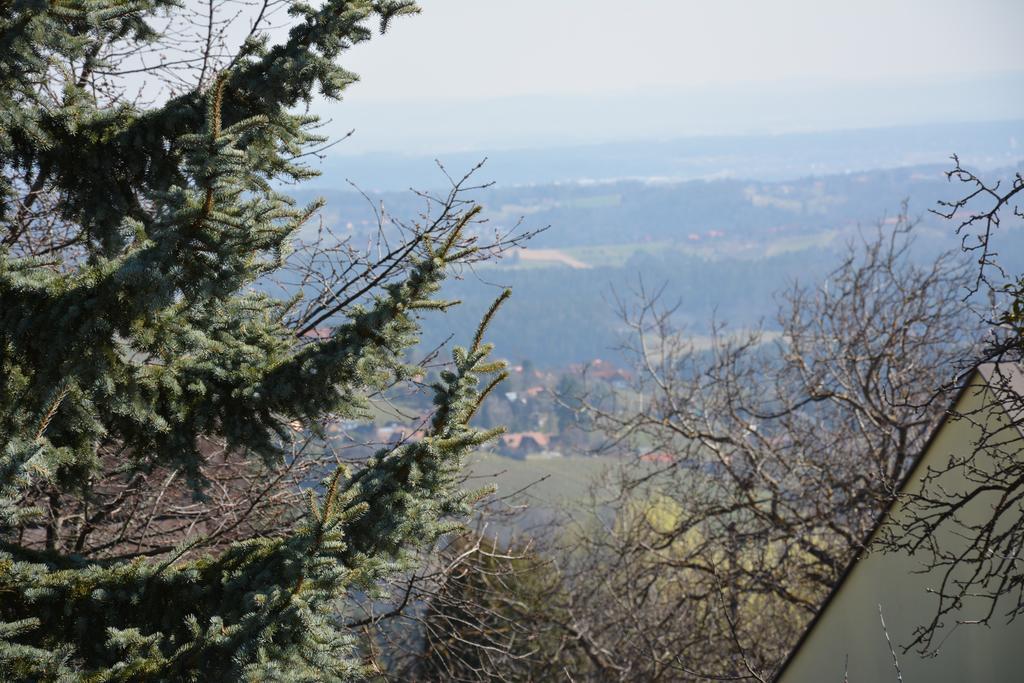 Weingut Seiner Vlg. Kraxner Villa Greisdorf Екстериор снимка